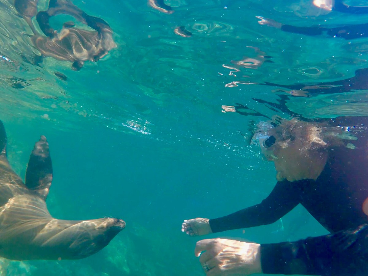 12/13 – 1/1/21 La Paz to Loreto,&nbsp;BC